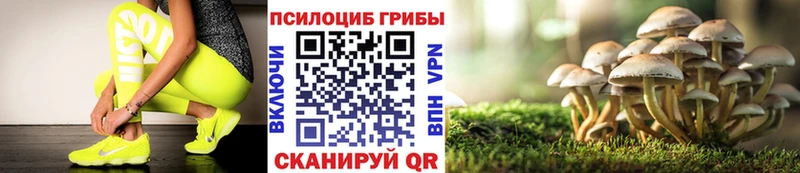 Купить закладки  Томилино  Галлюциногенные грибы Magic Shrooms 