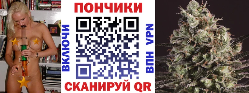 Купить где  Томилино  Бошки марихуана VHQ 